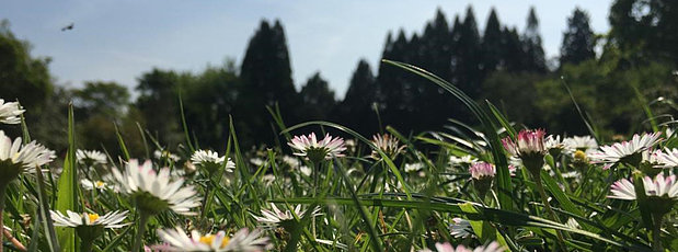 FÜHRUNG | Wie schmeckt der Schlosspark?.img