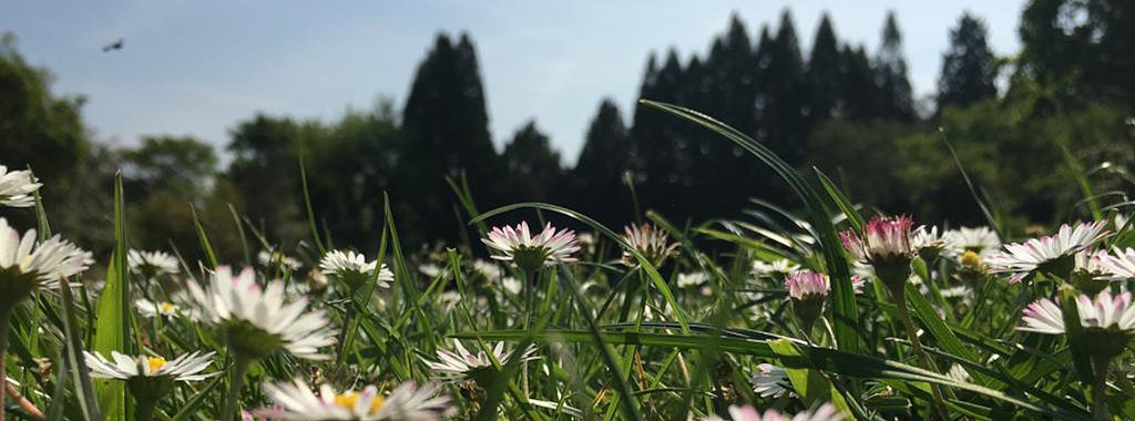 FÜHRUNG | Wie schmeckt der Schlosspark?.img