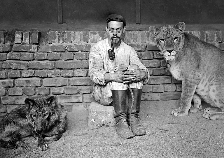 Josef Pallenberg sitzend zwischen einem Wolf und einer Löwin