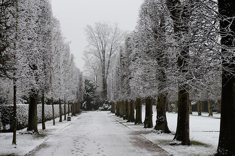 Schneebedeckter Weg im Schlosspark, rechts und links verschneite Bäume