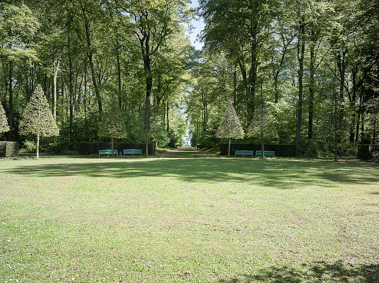 Rasenfläche umringt von Bäumen und mittig vier Bänke